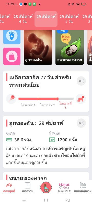 แม่ไม้ๆนาบ่มีรัอล