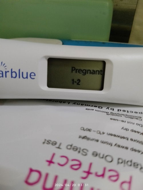 Last date dtg bln 20/3/24..KLU ikut kn dh 4w++...tapi cek guna clearblue baru 1-2..mana 1 nk ikut ye