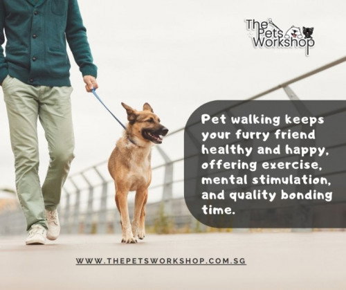 Physical Health: Premier Pet Grooming Workshop — The Pets Workshop