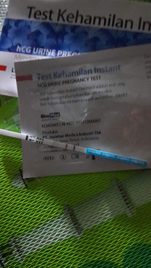 Kapan awal kehamilan