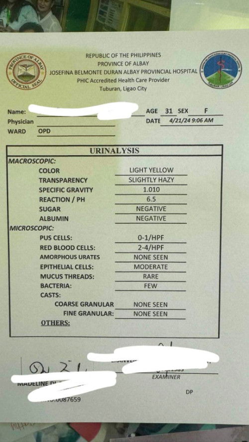 Urinalysis Test Result