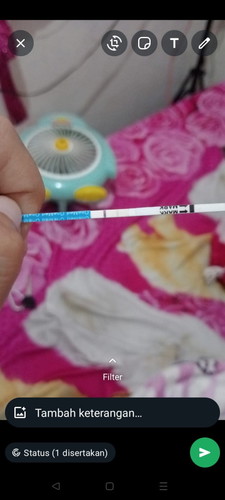 Hallo bunda ,aku mau na nya tespek ini akurat ngga yah soalnya aku blum telat haid ,tapi ada garis