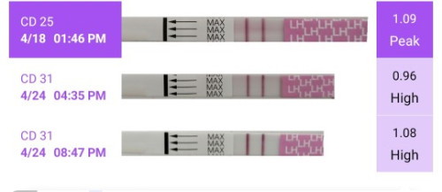 Dpo5 opk positif