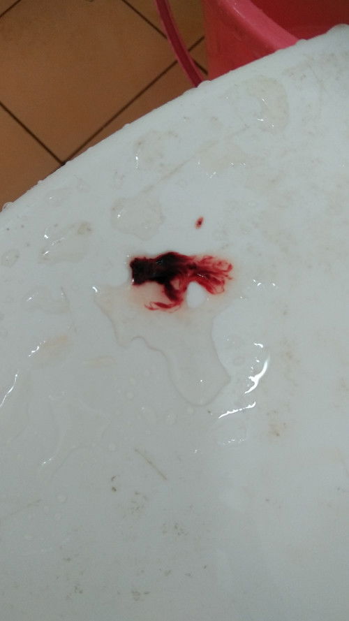 Tolong bagi semangat mommies