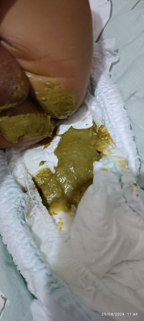 Pup bayi asi mix sufor