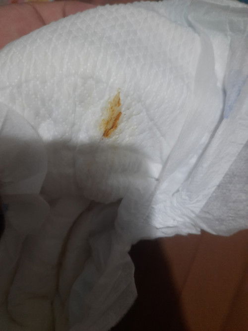 Bab sufor nutribaby royal 0 bulan