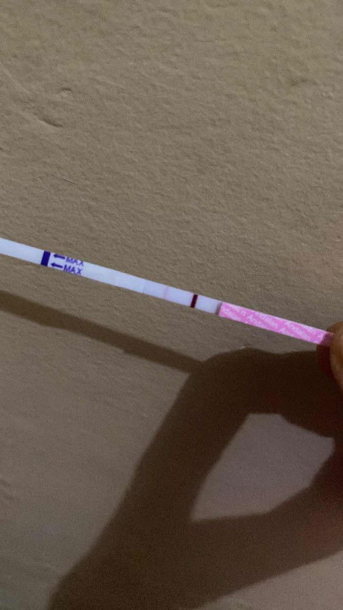 Garis samar hpht 31 maret