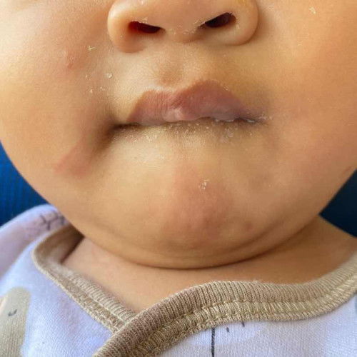 Bibir bawah dikempit ga mau di lepas