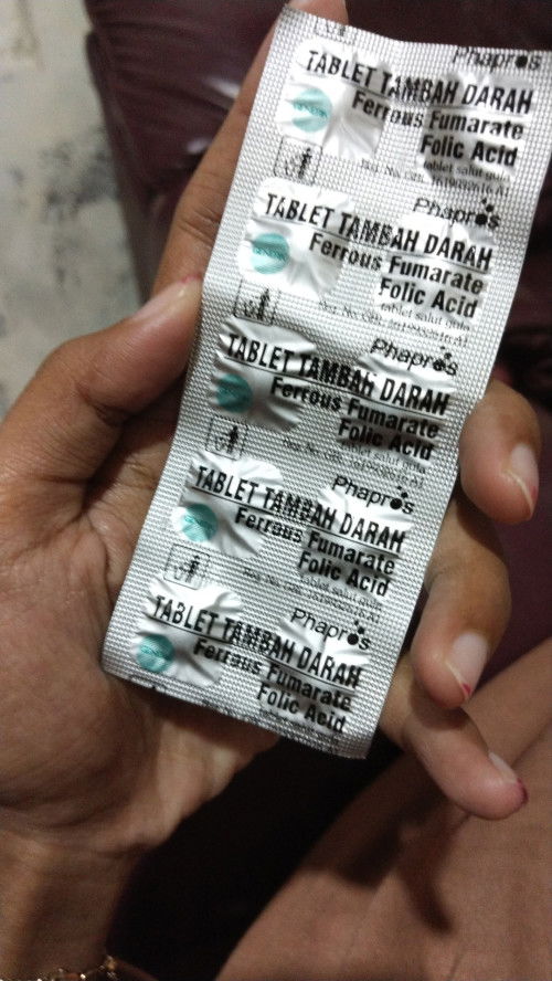 Usia kehamilan 10 minggu