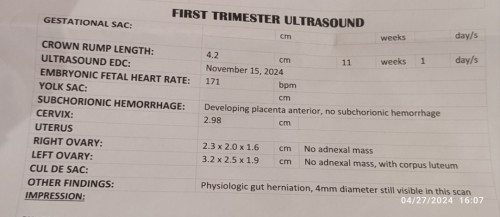 Gut Herniation