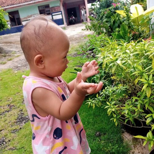 Naik BB yang lumayan drastis