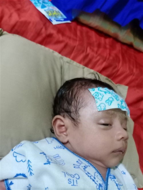 bayi 1 bulan demam ,bun ,anaku tadi demam ,38 derajat apakah tinggi