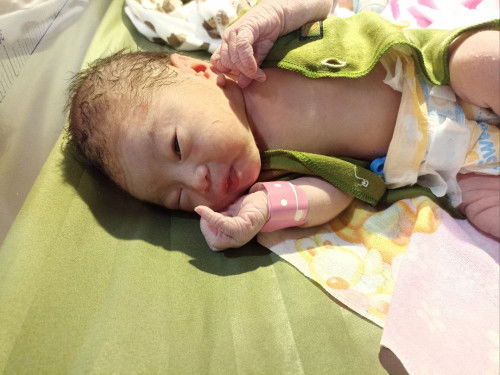 HPL 15 Mei sudah launching hari ini