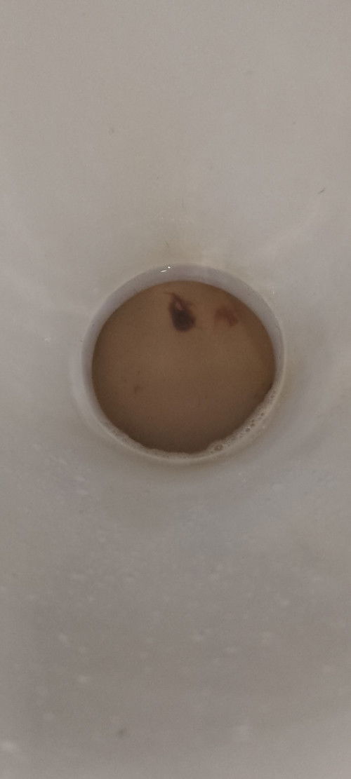 30weeks pregnant
July duedate