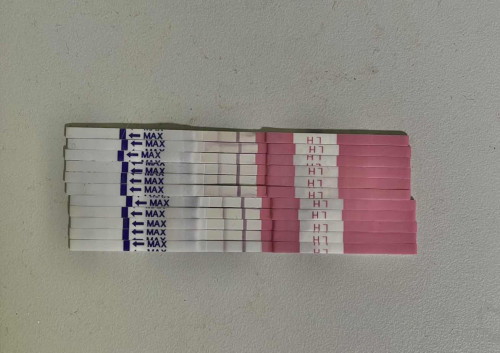 PERIOD LEWAT UPT NEGATIF . CHECK OPK TAKUT SUBUR LAMBAT TAPI XJUMPA2 WAKTU SUBUR TU 😅🥹