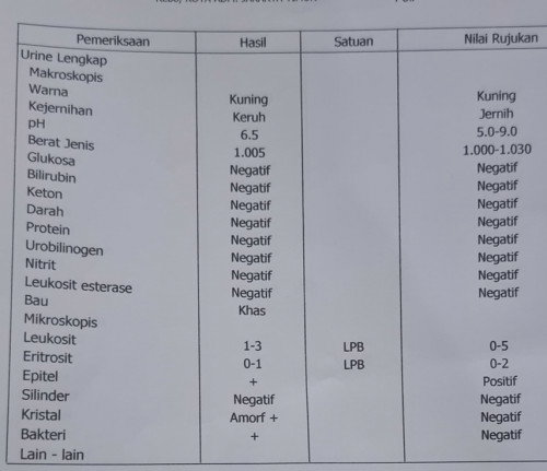 Minta tlong bacakan hasil tes urine dongg