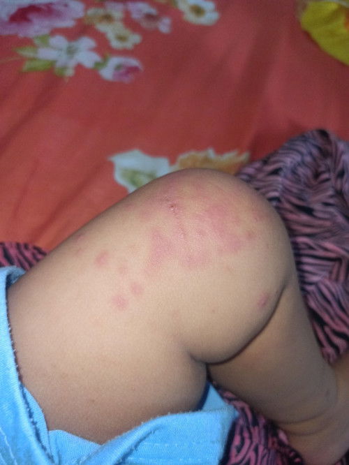 ada yang begini juga ga ya??