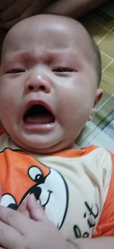 Bé gạo 6m 8kg