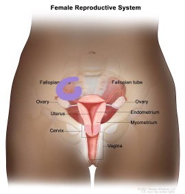 Slight pain in vaginal area