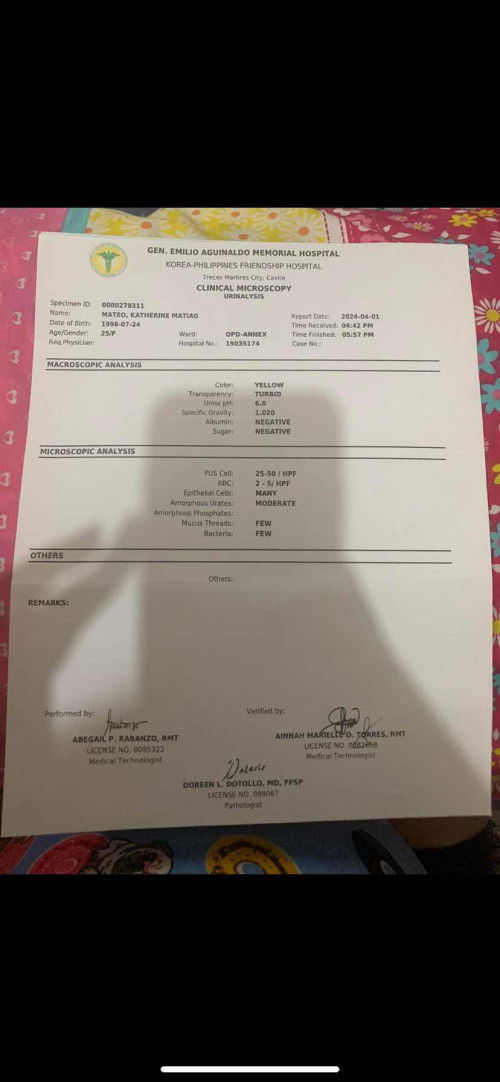 Urinalysis Result