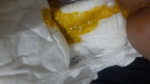 Foto pup bayi 3 bulan