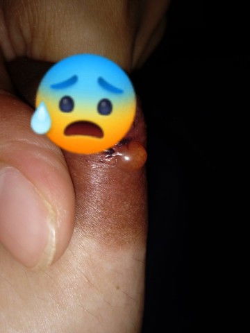 ที่ปั้มนแบบมือ