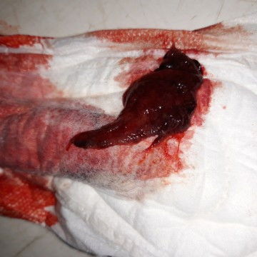 Jadi bingung maaf bun aga jorok