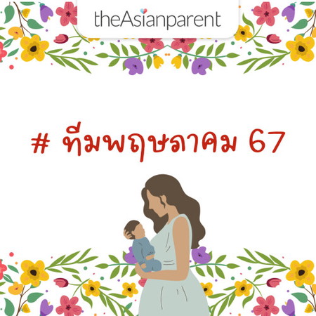 ทีมพฤษภาคม67