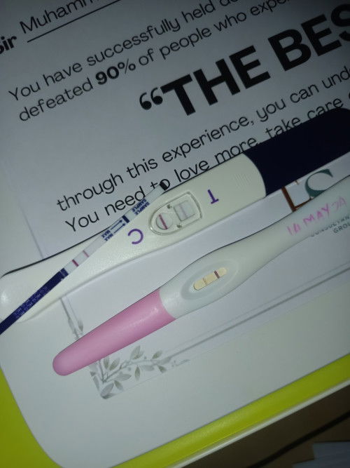 Pregnancy with miscarriage history