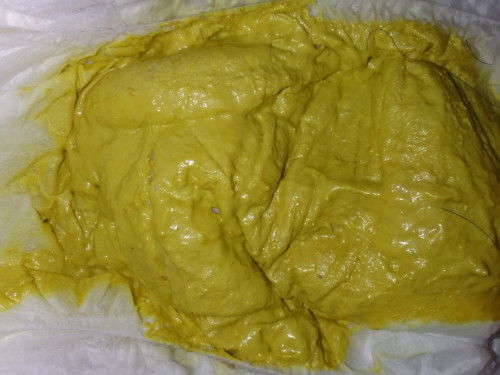 Pup 4 kali dalam sehari