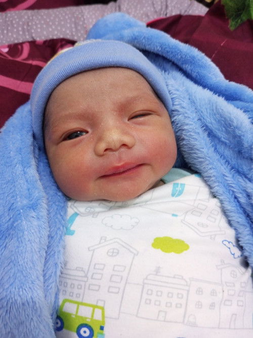 Hpl 29 mei launching 18 mei .