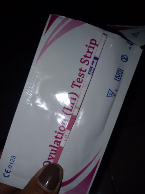 Kalau tandanya begini apa bund??? Apa ini juga bisa untuk tes kehamilan??? Mohon penjelasannya🙏