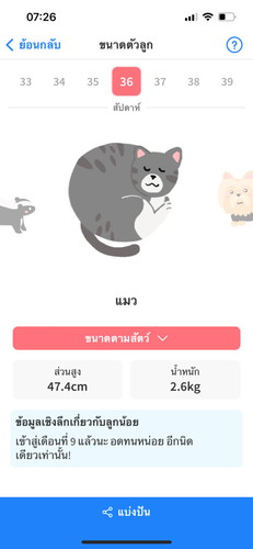 ทีมมิถุนายน ก้าวเข้าสู่ 9 เดือนแล้ว 😍