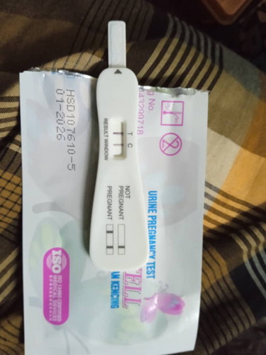 berapa minggu pregnant