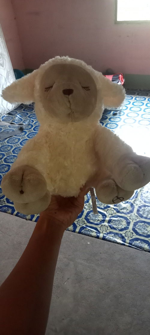 ขายต่อจ้า ตุ๊กตามีเสียง ขอดูรูปเพิ่มเติมได้ค่ะ ทิ้งไอดีไลน์ไว้ค่ะเดียวทักหาเองค่ะ