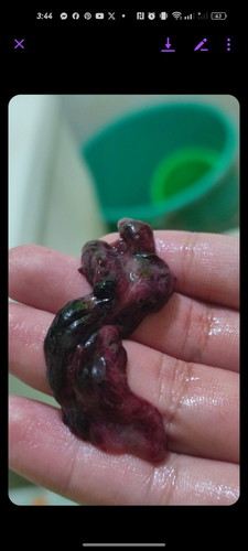Ano po kaya ito?
