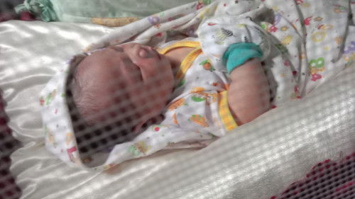 Hpl 1 juni launching 23 mei