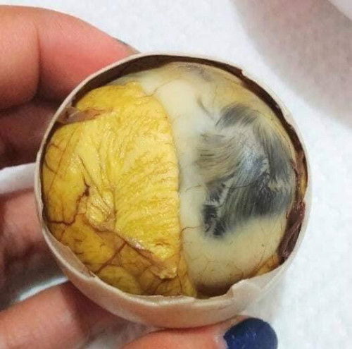 Balut penoy for the pregnant? Is it safe?