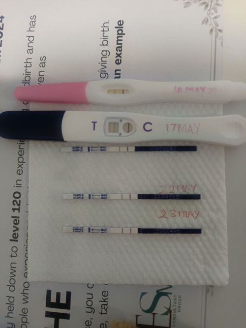 5w3day dgn history keguguran tahun lepas