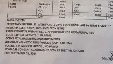 CAS (Congenital Anomally Scan)