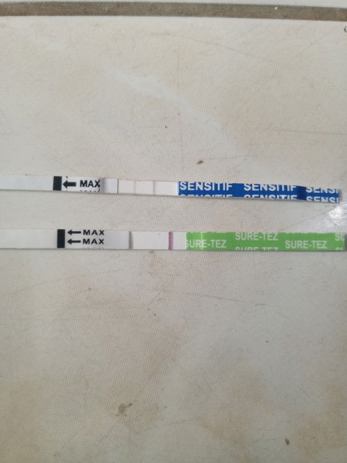 Apakah saya hamil lagi Bun..?