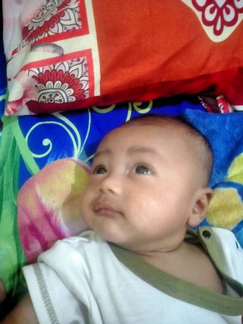 Sikecil suka melihat ke atas