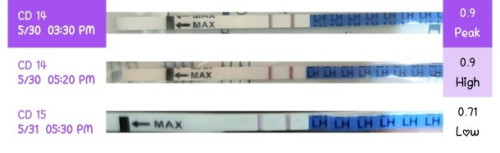 Opk positif