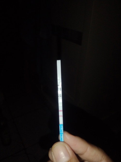 Usia kehamilan minggu 3 hari 3
