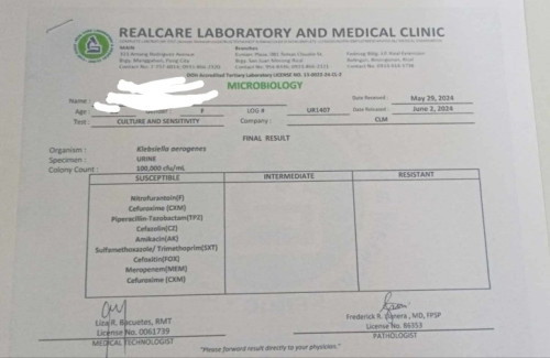 URINE CULTURE EXAMINATION