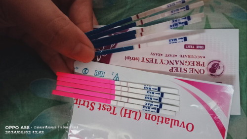 Waktu subur aku Aku check Guna pregnant test Naik gris 2 tp smar aku check esk nya negative mksd apa