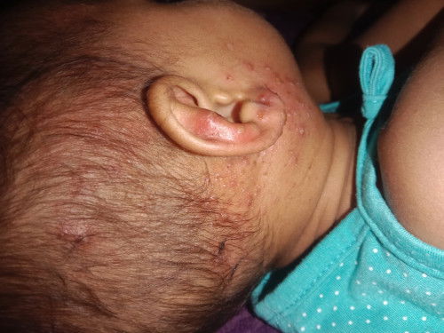 Tolong bun solusi nya