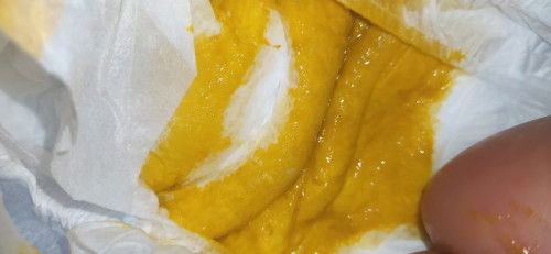 Pup bayi umur 1 bulan lebih