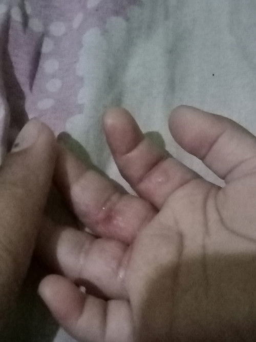 Ad yg prnh alamin Ga Bun?