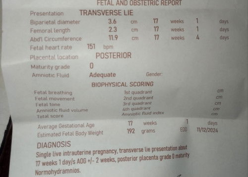 Result of ultrasound #4months